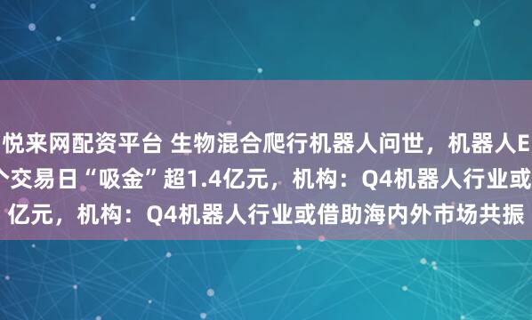 悦来网配资平台 生物混合爬行机器人问世，机器人ETF（159770）近3个交易日“吸金”超1.4亿元，机构：Q4机器人行业或借助海内外市场共振