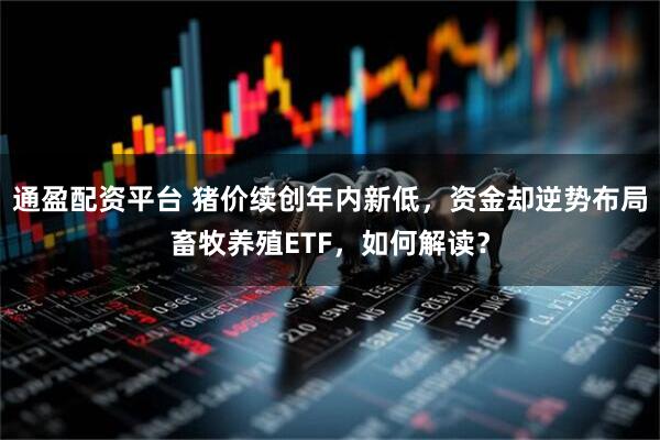 通盈配资平台 猪价续创年内新低，资金却逆势布局畜牧养殖ETF，如何解读？