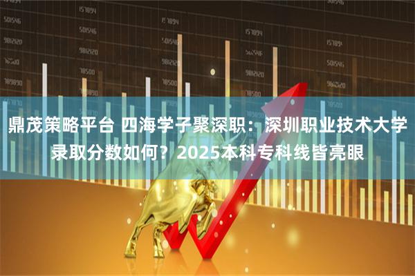鼎茂策略平台 四海学子聚深职：深圳职业技术大学录取分数如何？2025本科专科线皆亮眼