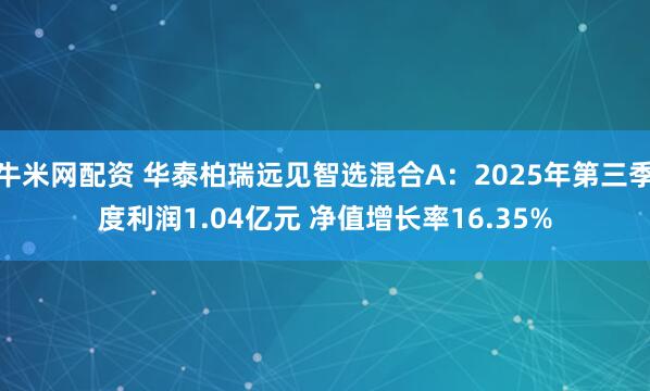 牛米网配资 华泰柏瑞远见智选混合A：2025年第三季度利润1.04亿元 净值增长率16.35%