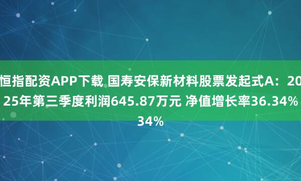 恒指配资APP下载 国寿安保新材料股票发起式A：2025年第三季度利润645.87万元 净值增长率36.34%